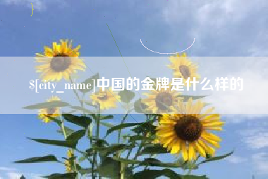 禹城中国的金牌是什么样的
