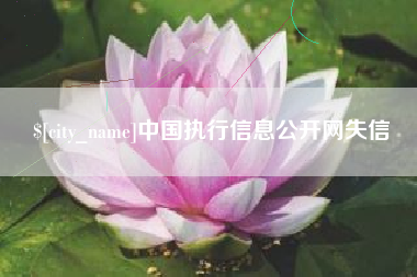 禹城中国执行信息公开网失信
