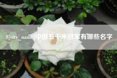 禹城中国五千米冠军有哪些名字