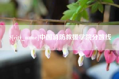 禹城中国消防救援学院分数线
