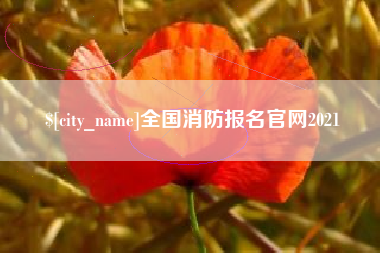 禹城全国消防报名官网2021