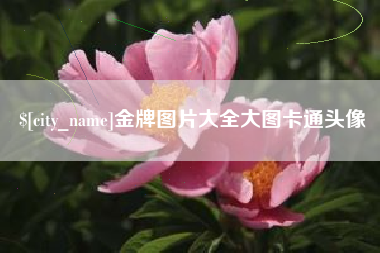 禹城金牌图片大全大图卡通头像