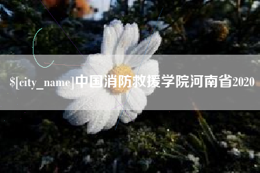 禹城中国消防救援学院河南省2020